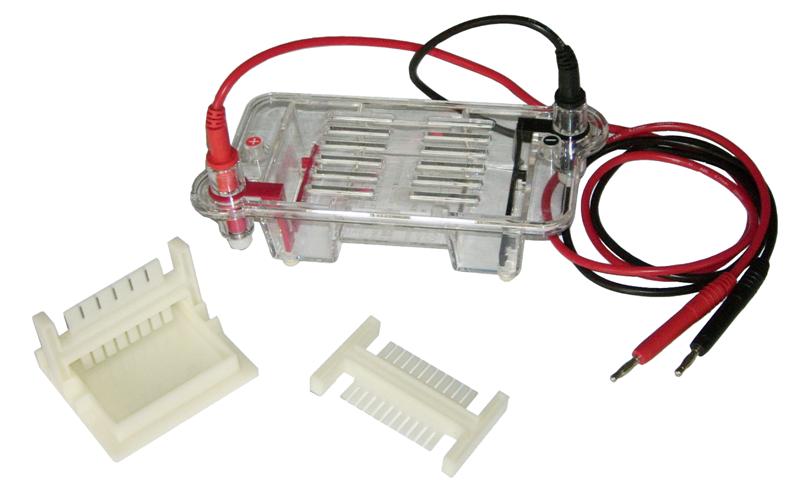 Horizontal Electrophoresis System Mini