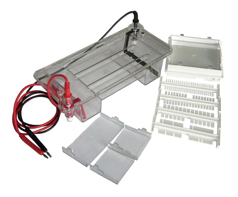 Horizontal Electrophoresis System Midi