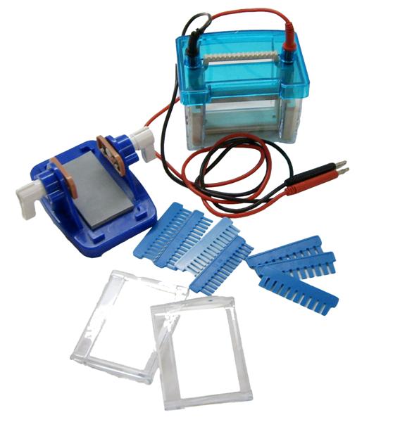 Vertical Electrophoresis System Mini