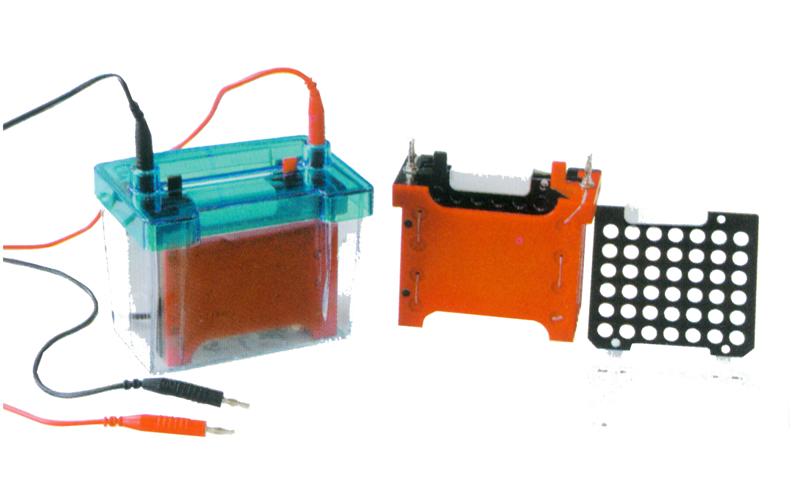 Vertical Electrophoresis Transfer System