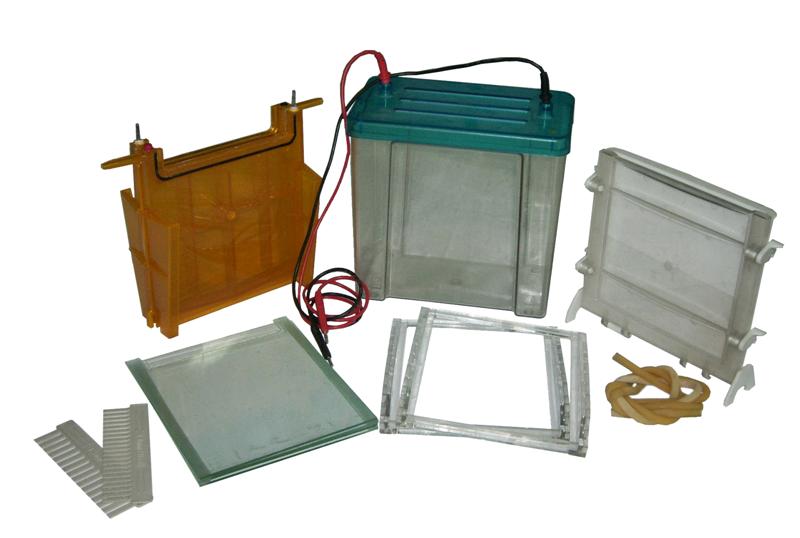 Vertical Electrophoresis System Midi
