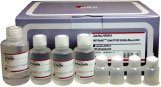 HiYield Gel/PCR DNA Maxi Kit