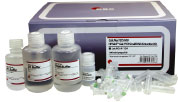 HiYield Gel/PCR Small DNA Extraction Kit