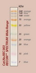 RECOM SPECTRUM Wide Range Protein Marker