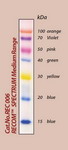 RECOM SPECTRUM Medium Range Protein Marker