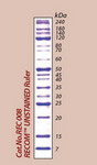 RECOM UNSTAINED Ruler Marker