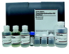 HiYield Total RNA Maxi Kit (Plant) - Click Image to Close