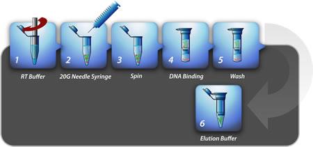 HiYield Total RNA Mini Kit (Tissue)