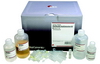 HiYield Viral Nucleic Acid Extraction Kit - Click Image to Close
