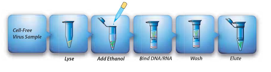 HiYield Viral Nucleic Acid Extraction Kit II - Click Image to Close